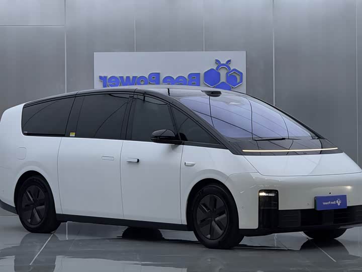 2025 LiXiang Mega