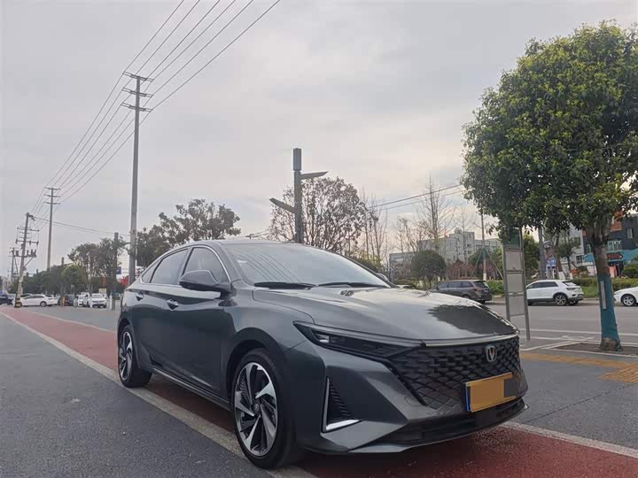 Фото 4 - Changan Raeton Plus
