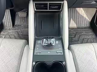 BYD Yuan Up 2024 2024款 401KM 超越型