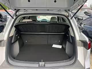 BYD Yuan Up 2024 2024款 401KM 超越型