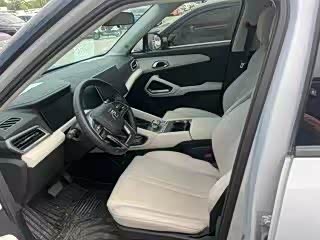 BYD Yuan Up 2024 2024款 401KM 超越型