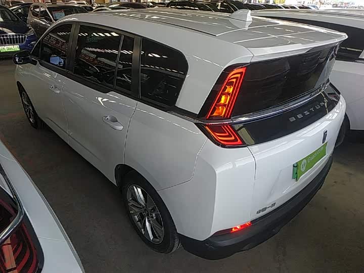 Bestune NAT 2023 2023款 PRO 舒享出行版 419km