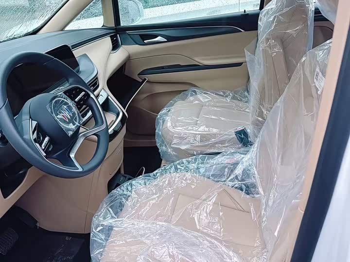 Buick GL8 ES 2025 2025款 陆上公务舱 舒适DG版