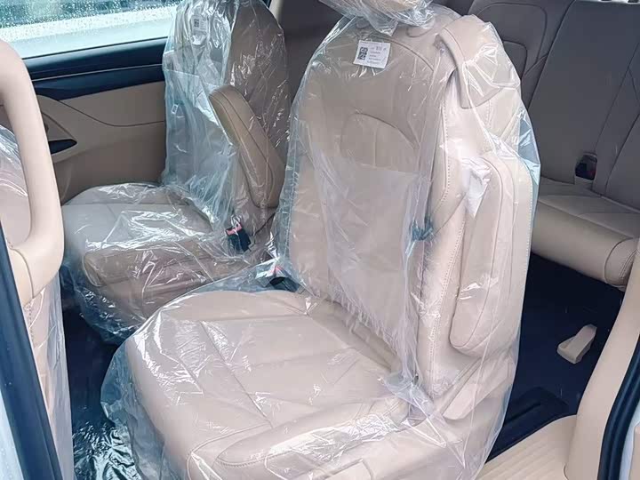 Buick GL8 ES 2025 2025款 陆上公务舱 舒适DG版