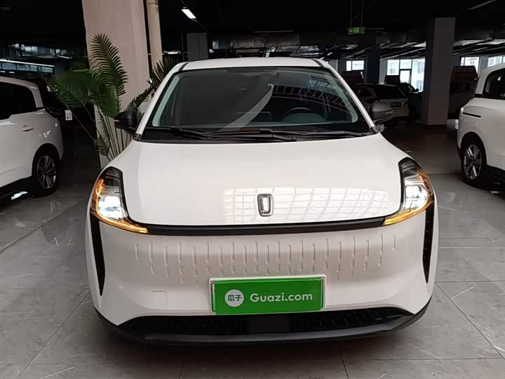 Bestune NAT 2023 2023款 PRO 舒享出行版 419km