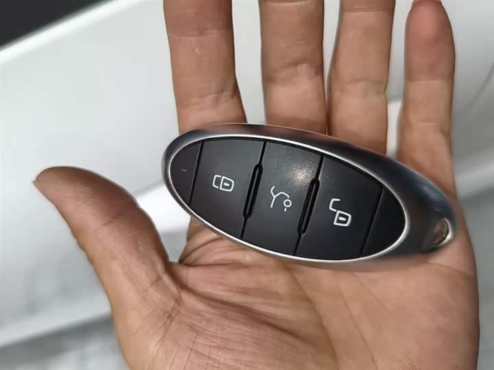 Bestune NAT 2023 2023款 PRO 舒享出行版 419km