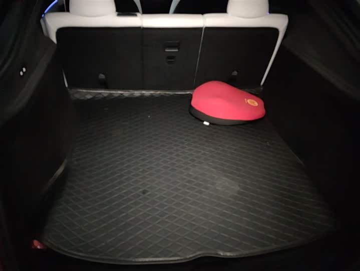 Tesla Model Y 2025 2025款 后轮驱动 首发版