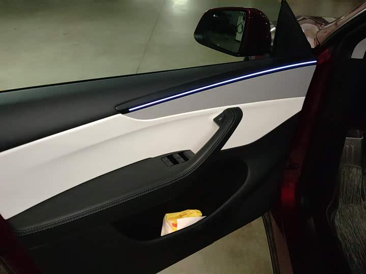 Tesla Model Y 2025 2025款 后轮驱动 首发版