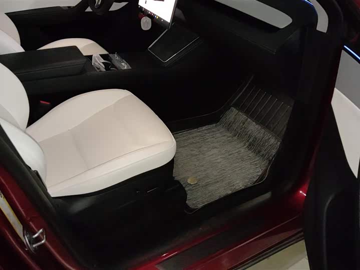 Tesla Model Y 2025 2025款 后轮驱动 首发版