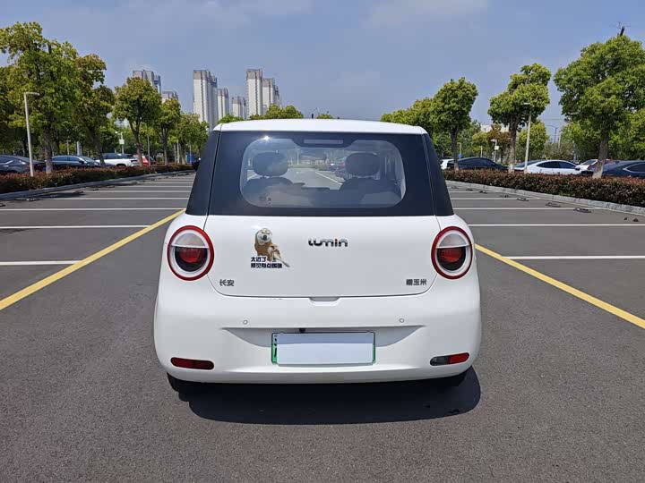 Фото 6 - Changan Qiyuan (Nevo) Lumin