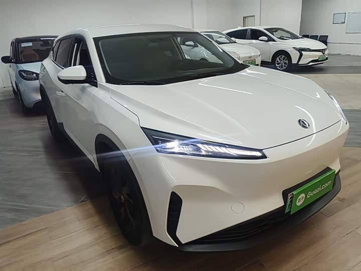 Dongfeng Aeolus Sky EV01 2024 2024款 530km PRO