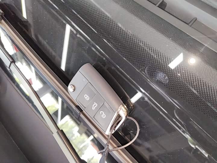 Volkswagen Passat Hybrid 2025 2025款 430PHEV 混动商务版