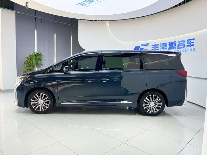 GAC Trumpchi M8 2021 2021款 领秀系列 390T 至尊版