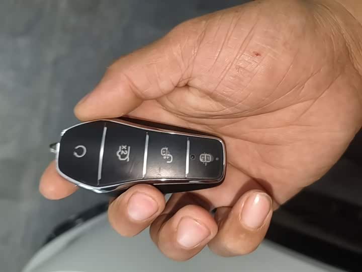 BYD Yuan Up 2025 2025款 301KM 领航型