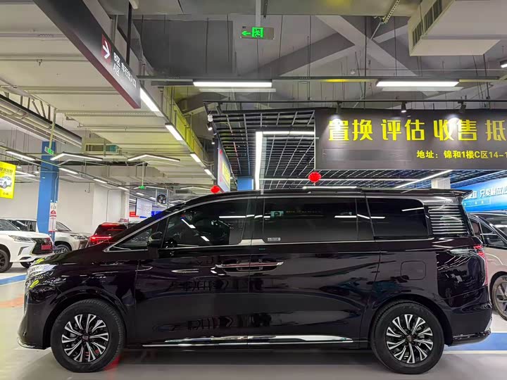 Hongqi HQ9 Hybrid 2024 2024款 2.0T 四驱商务版