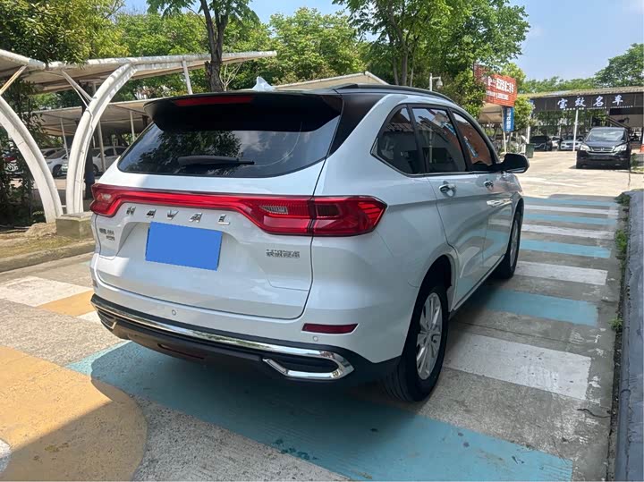 Haval M6 2024 2024款 PLUS 1.5T DCT花生好车定制版