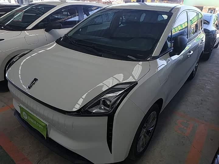 Bestune NAT 2023 2023款 PRO 舒享出行版 419km