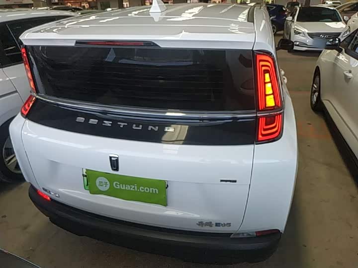 Bestune NAT 2023 2023款 PRO 舒享出行版 419km