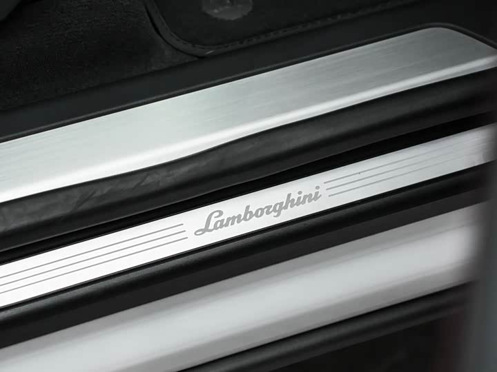 Lamborghini Urus 2023 2023款 4.0T V8 S