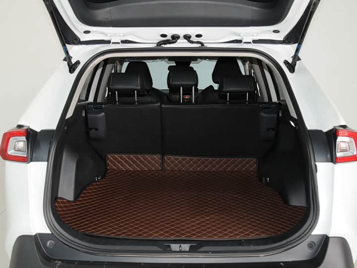 Toyota Wildlander 2024 2024款 2.0L CVT两驱领先版