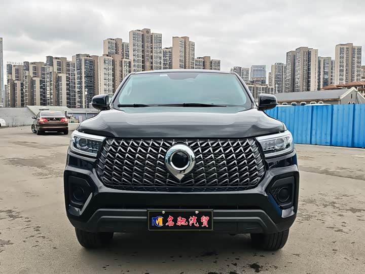 Great Wall Pao 2024 2024款 2.4T商用版自动柴油四驱精英型