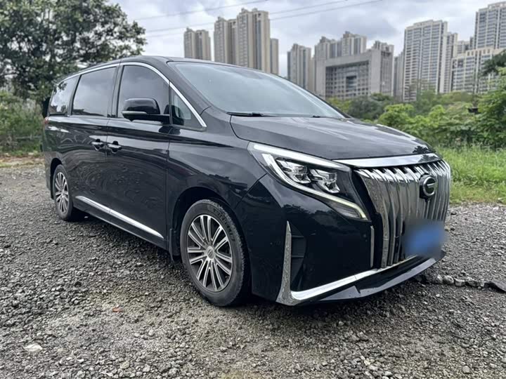GAC Trumpchi M8 2021 2021款 领秀系列 390T 尊贵版
