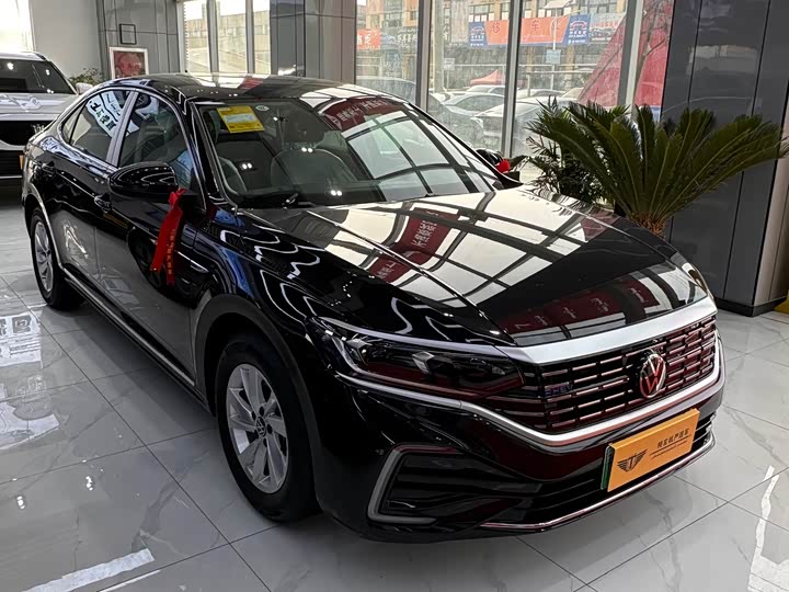 Volkswagen Passat Hybrid 2025 2025款 430PHEV 混动商务版