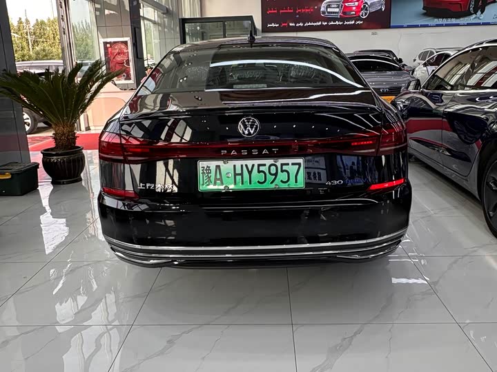 Volkswagen Passat Hybrid 2025 2025款 430PHEV 混动商务版