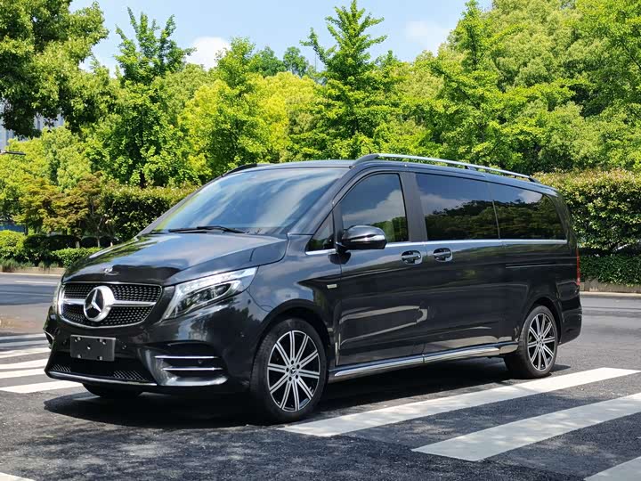 Mercedes-Benz V-Class 2021 2021款 V 260 L 长轴距豪华版