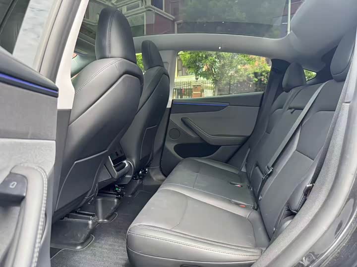 Tesla Model Y 2025 2025款 后轮驱动版