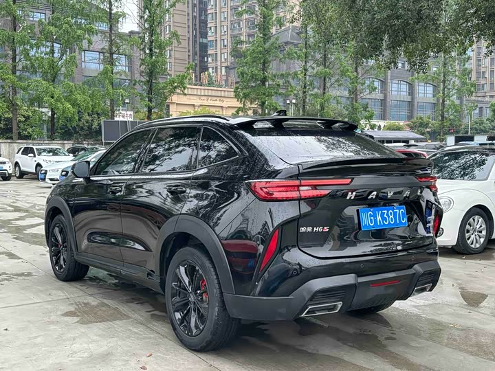 Haval H6S 2022 2022款 2.0T 两驱智跑版