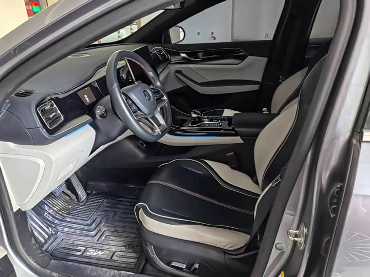 BYD Qin Plus 2021 2021款 EV 500KM 尊贵型