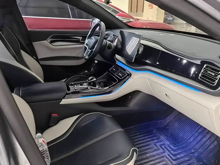 BYD Qin Plus 2021 2021款 EV 500KM 尊贵型