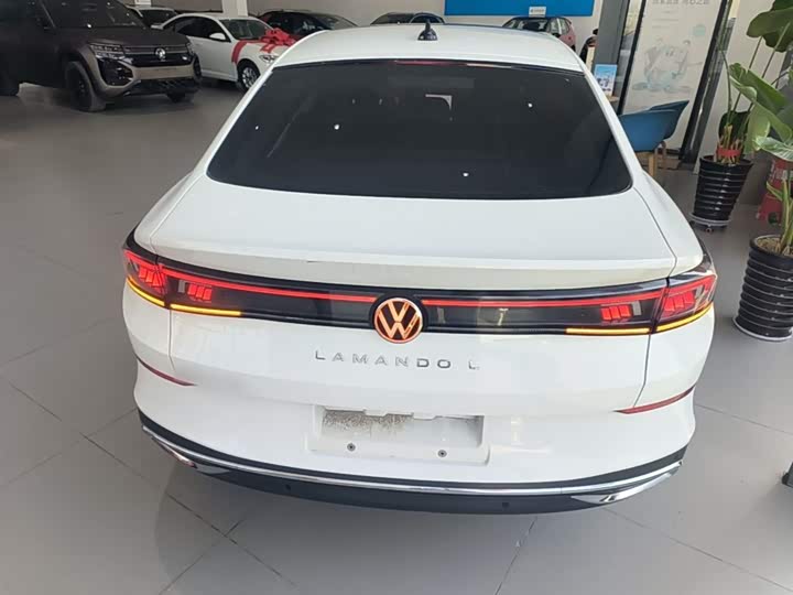 Фото 6 - Volkswagen Lamando L