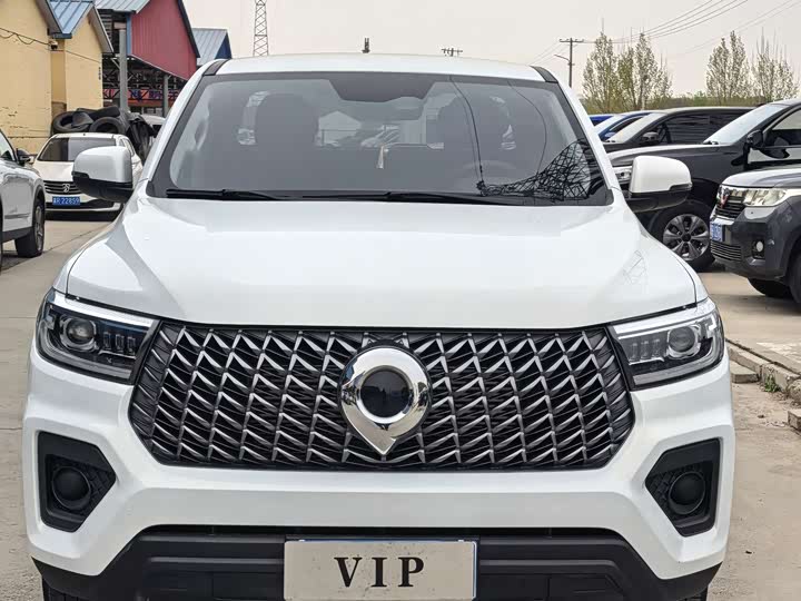 Great Wall Pao 2024 2024款 2.4T商用版自动柴油四驱精英型