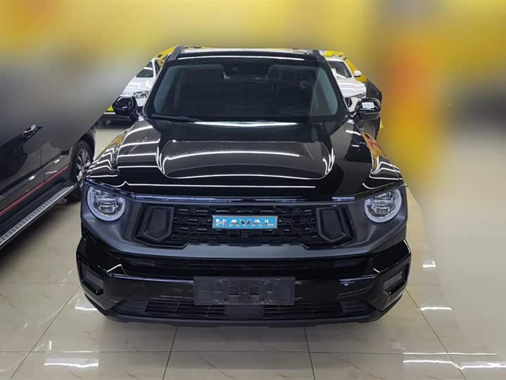 Haval H-Dog Hybrid 2023 2023款 DHT-PHEV 105km 潮电版Plus