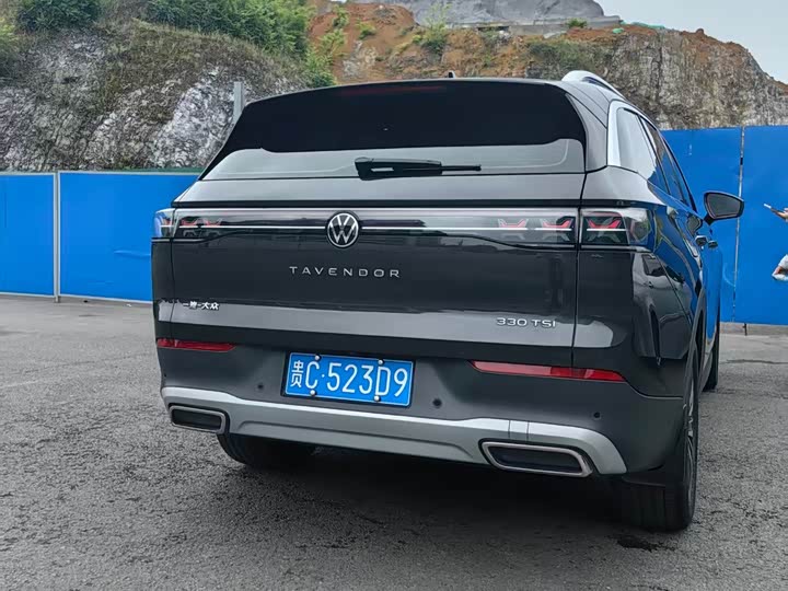 Volkswagen Tavendor 2023 2023款 330TSI 豪华巡逸版