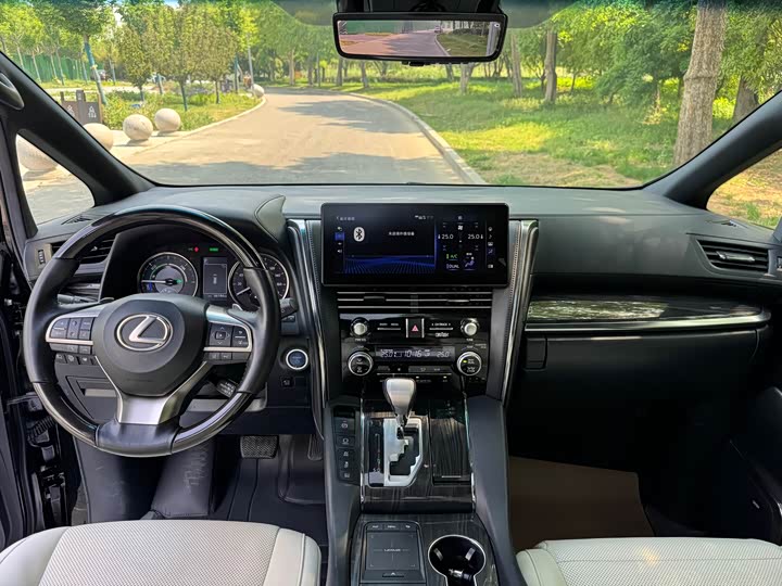 Фото 6 - Lexus LM