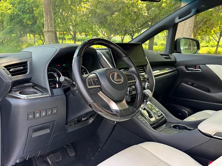 Фото 7 - Lexus LM