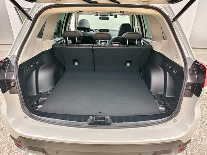 Subaru Forester 2024 2024款 2.5i AWD 尊贵版EyeSight