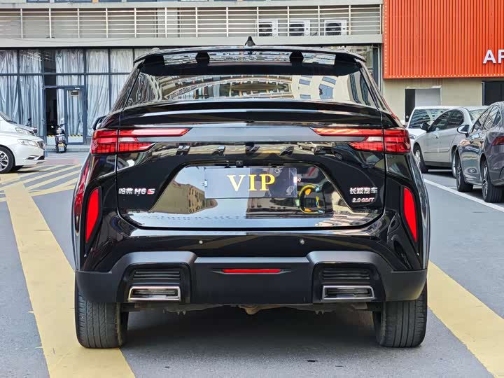 Haval H6S 2022 2022款 2.0T 两驱悦跑版