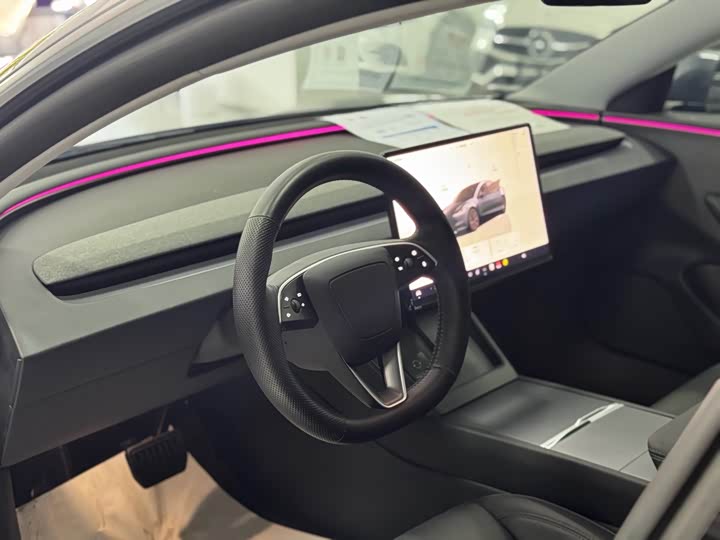 Tesla Model 3 2025 2025款 后轮驱动版