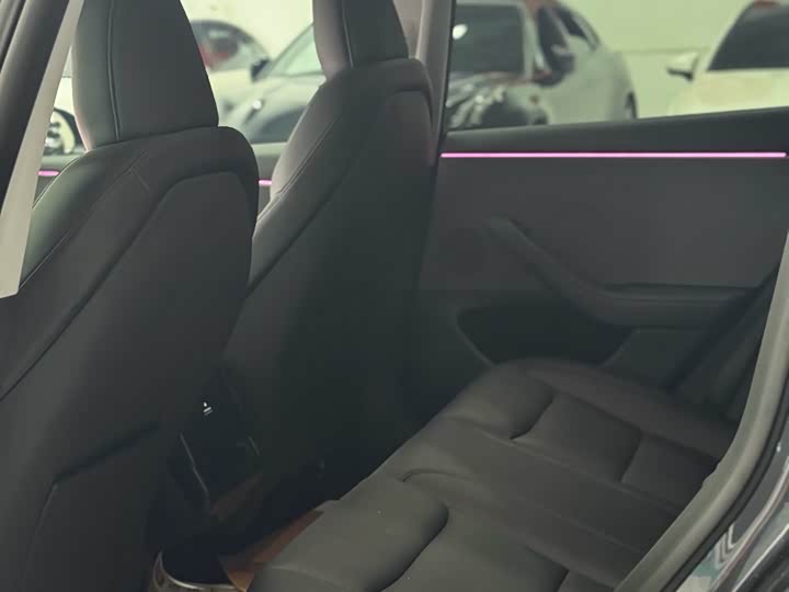 Tesla Model 3 2025 2025款 后轮驱动版