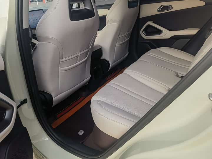 BYD Yuan Up 2024 2024款 401KM 领先型