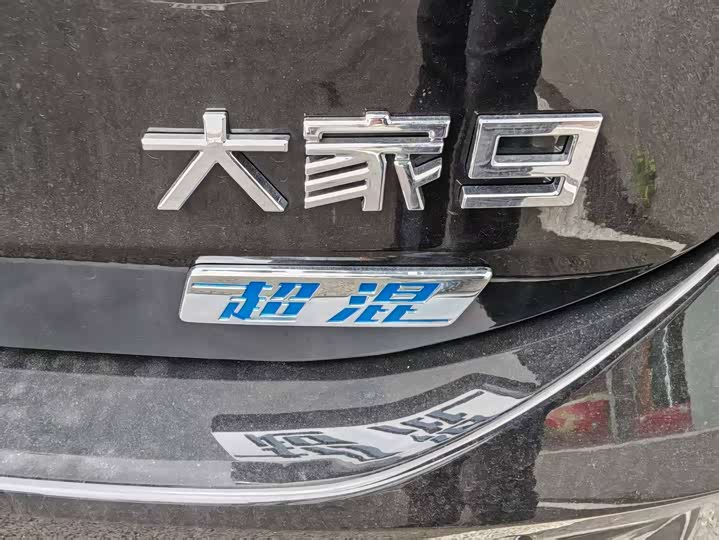 Maxus Mifa 9 2025 2025款 超混 超长续航草原版 七座