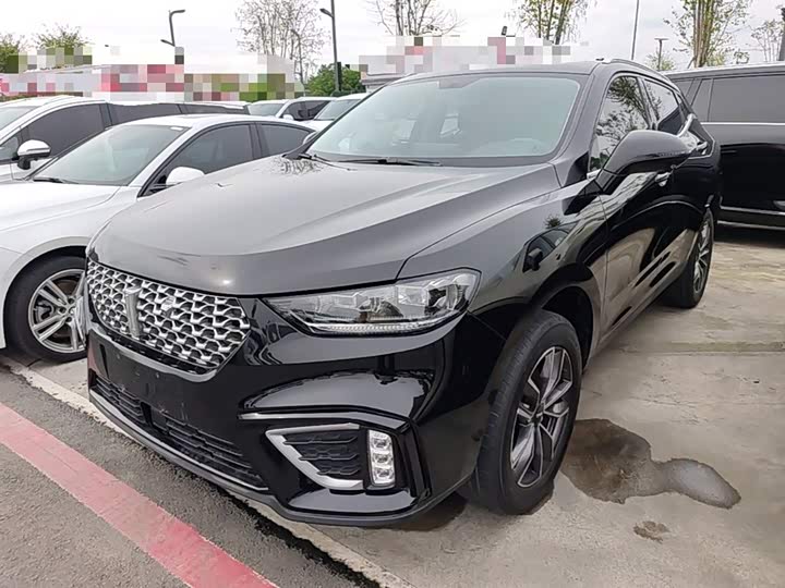 Wey VV5 2021 2021款 1.5T 两驱颜先锋