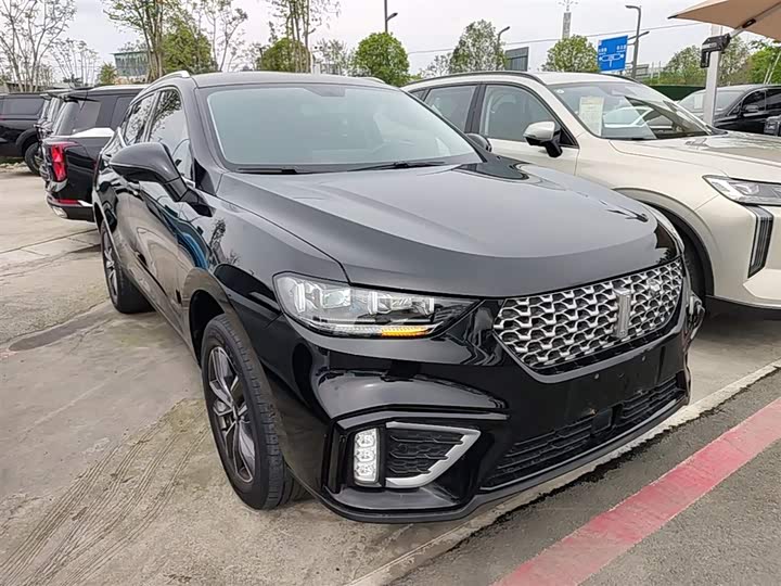 Wey VV5 2021 2021款 1.5T 两驱颜先锋