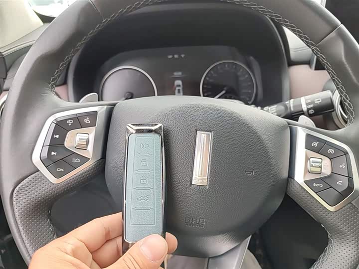Wey VV5 2021 2021款 1.5T 两驱颜先锋