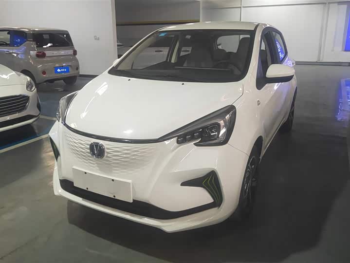 Changan BenBen E-Star 2022 2022款 清心版 多彩款 磷酸铁锂