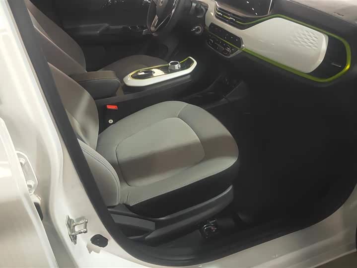 Changan BenBen E-Star 2022 2022款 清心版 多彩款 磷酸铁锂